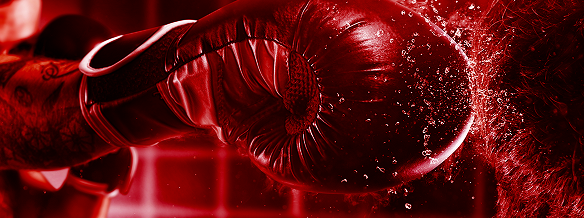 единоборства