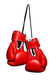 Boxing gloves